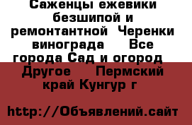 Саженцы ежевики безшипой и ремонтантной. Черенки винограда . - Все города Сад и огород » Другое   . Пермский край,Кунгур г.